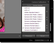 capture_29112008_170943