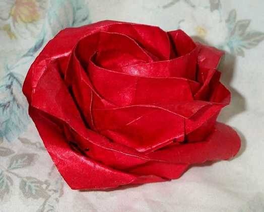 [Kawasaki rose[3].jpg]