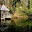 DSCN9276.JPG