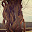 DSCN9083.JPG