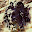 DSCN9086.JPG