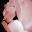 DSCN9164.JPG