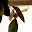 DSCN9231.JPG
