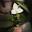 DSCN9128.JPG