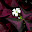 DSCN9232.JPG