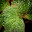DSCN9167.JPG