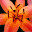 DSCN9189.JPG