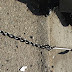 The HOOK, next to the cops feet.