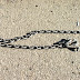 my pics Vacation 057.jpg