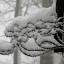 New Photos_1855.JPG
