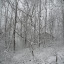 New Photos_1868.JPG