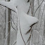 New Photos_1875.JPG