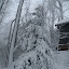 New Photos_1877.JPG