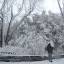 New Photos_1886.JPG
