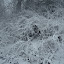 New Photos_1887.JPG