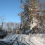 New Photos_1937.JPG