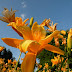DSCN4614.jpg