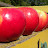 2009 SweeTango My favorite apple