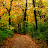 2007 One of the trails through the woods of the orchard