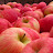 2008 Honeycrisp, lots of 'em