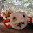 2009 Shrunkin Apple Heads