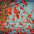 DSCN2396.JPG