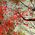 DSCN2398.JPG