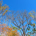 DSCN2411.JPG