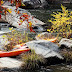 Kayak-scaping