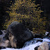 DSCN2923.JPG