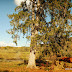 DSCN2086.JPG