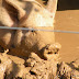 DSCN2204.JPG