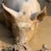 DSCN2207.JPG