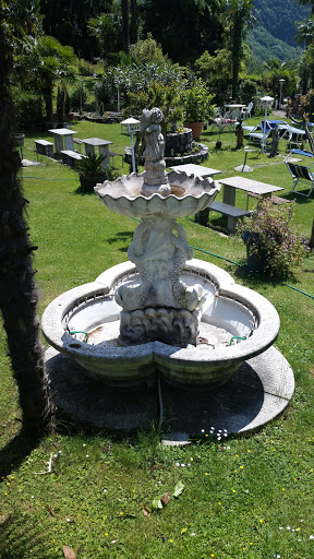 Fontana Dei Pesci Rovio