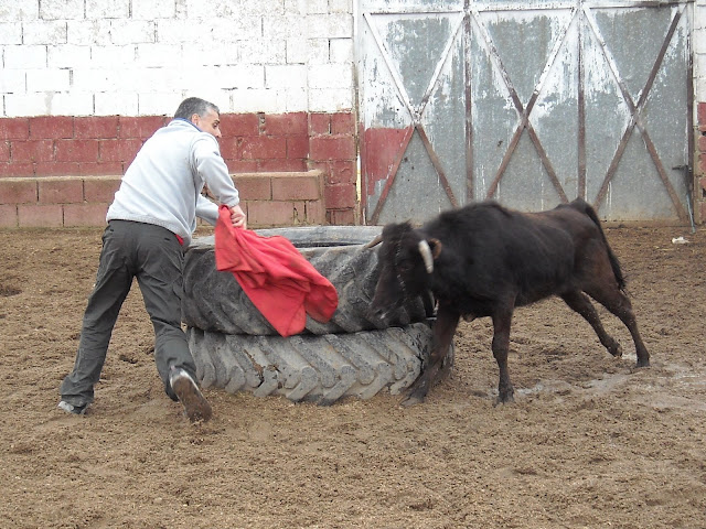 DSCN4915.JPG