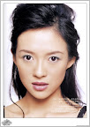  ziyi zhang photos