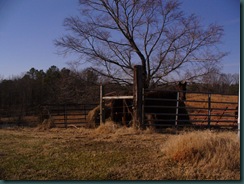 Granddaddys home place 086