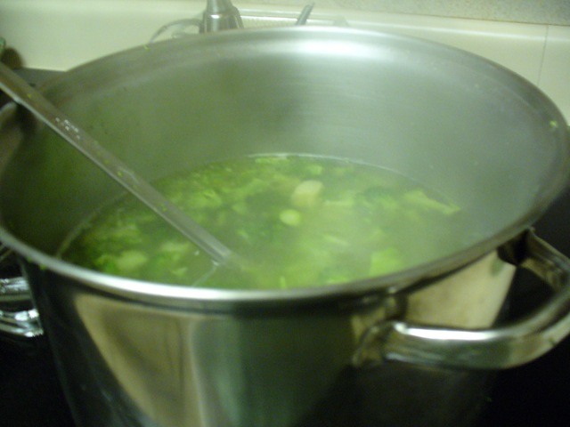 [CindyandSusiesvisit20090162.jpg]