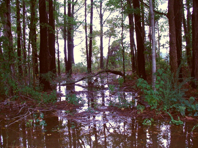 [cooking pics and wordless blog post on trails 2009 023[9].jpg]