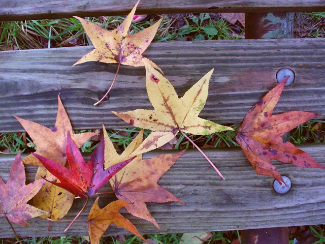 [cooking pics and wordless blog post on trails 2009 014[17].jpg]
