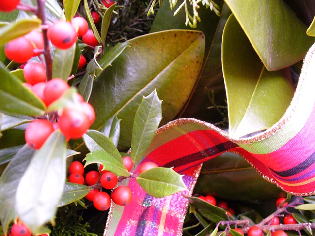 [Christmas 2009 063[4].jpg]