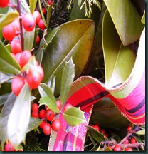 Christmas 2009 063