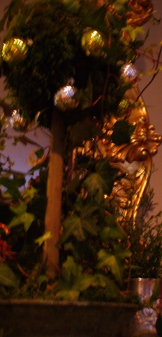 [Christmas 2009 099[3].jpg]