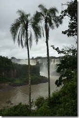 P1080933