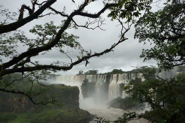 [P1080936[2].jpg]