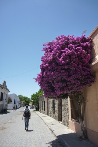[P1090115[2].jpg]