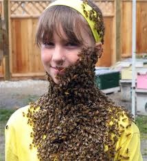 [honey bee beard[3].jpg]