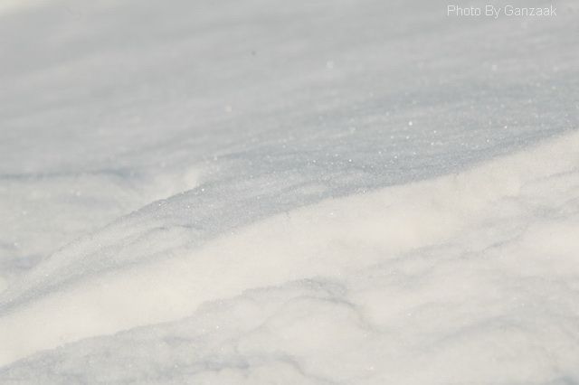 DSC_8591.JPG