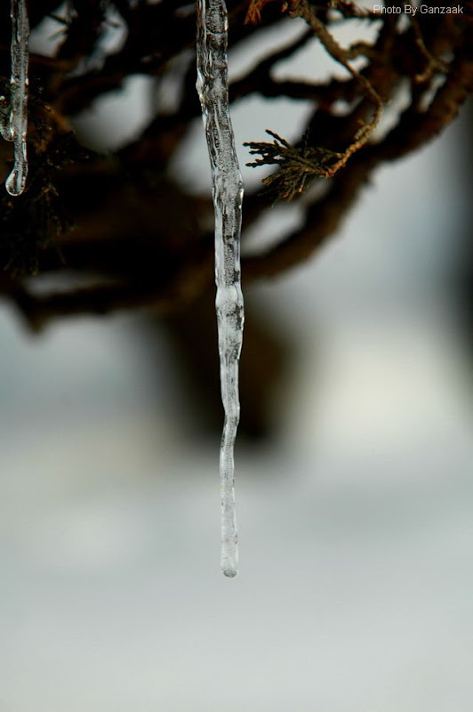 DSC_8593.JPG
