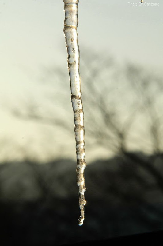 DSC_8599.JPG
